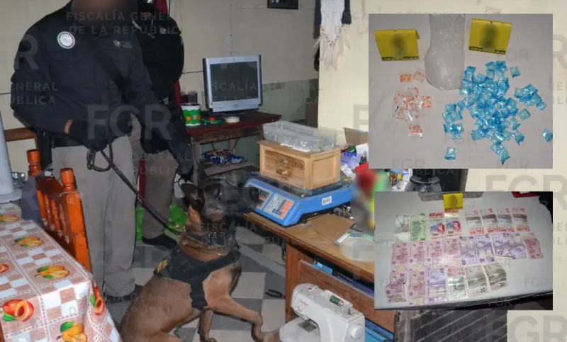Aseguran drogas y detienen a 3 tras cateo en Progreso
