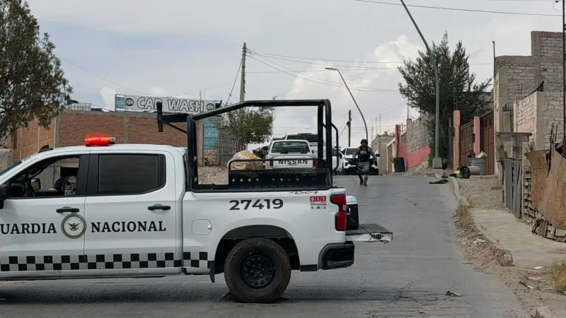 Catean carwash tras investigación por homicidio; aseguran tigre y otros animales