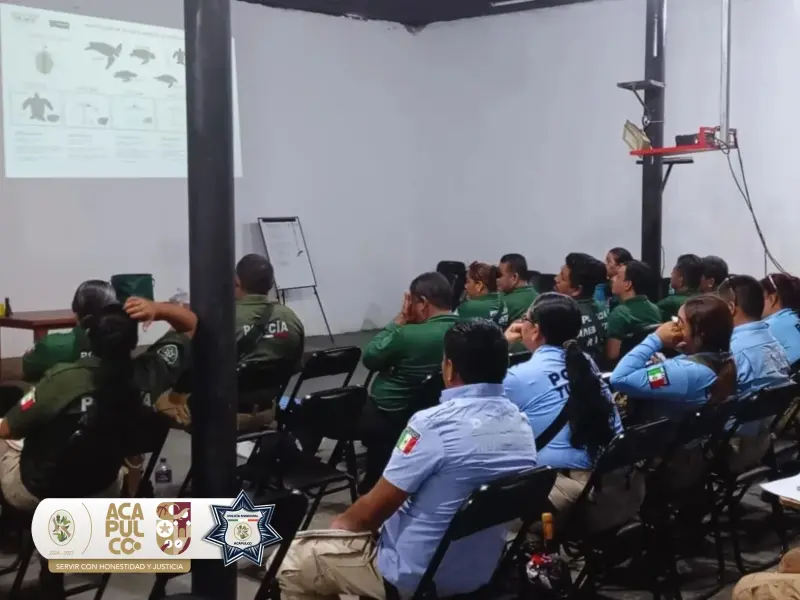 Se capacita Gobierno de Acapulco en conservación y manejo de tortugas