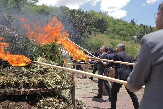 Detienen a directora de Derechos Humanos de Romita por un vivero con marihuana