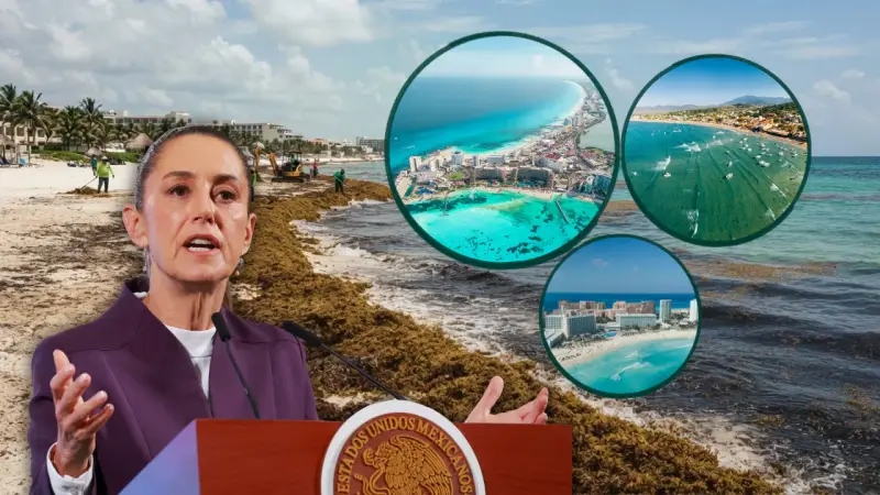 115 millones de dólares forman parte del plan de Claudia Sheinbaum para detener el sargazo que invade las playas de Quintana Roo y afecta a uno de los principales destinos turísticos de México