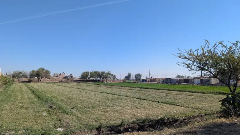 Golpean granizadas a 20 mil hectáreas en Pénjamo; exigen apoyos reales para el campo
