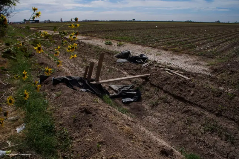 BC: se deslinda Estado de pagos a agricultores por descanso de tierras