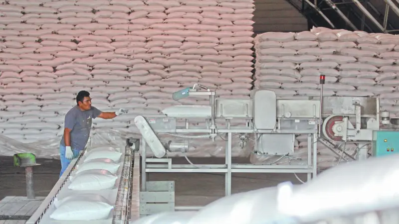 Exportaciones a Estados Unidos reestructuran el balance de la industria azucarera mexicana