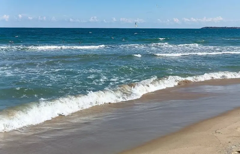 Advierten evitar playas con bandera roja por corrientes de resaca