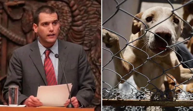 Jorge Emilio González Martínez: las iniciativas que impulsaron la protección animal y ambiental en México