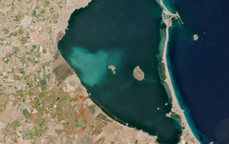 De 21 especies a solo tres: la mancha blanca que amenaza el futuro del Mar Menor