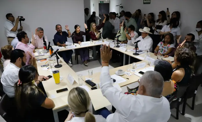 Avala Congreso cronograma para consulta a personas con discapacidad