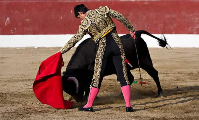 Abrogación del Reglamento Taurino genera debate jurídico en Tijuana