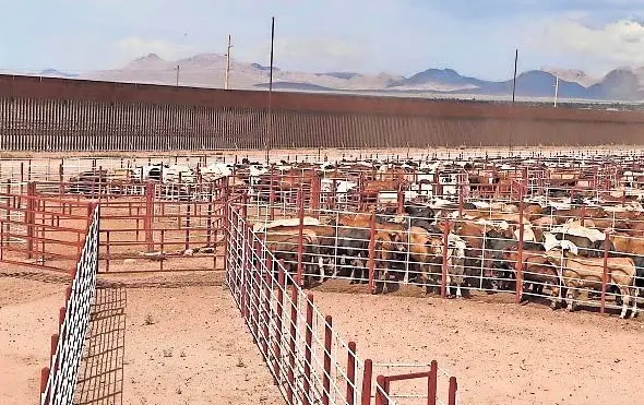 Avanza barrenador ante falta de herramientas