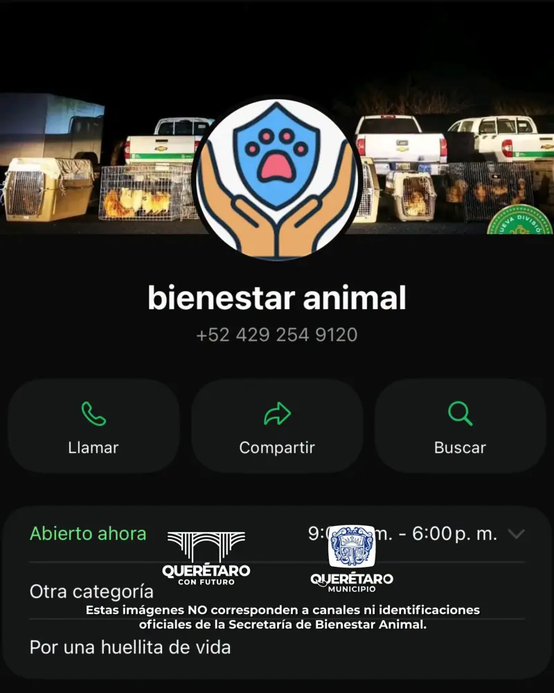 Alertan por fraude: estafadores aseguran tener mascotas extraviadas y piden dinero a nombre de Bienestar Animal de Querétaro