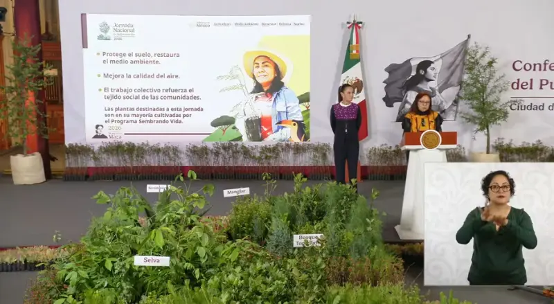 Sembrando Vida producirá 300 millones de plantas al año; Jornada Nacional de Reforestación usará drones para dispersar semillas
