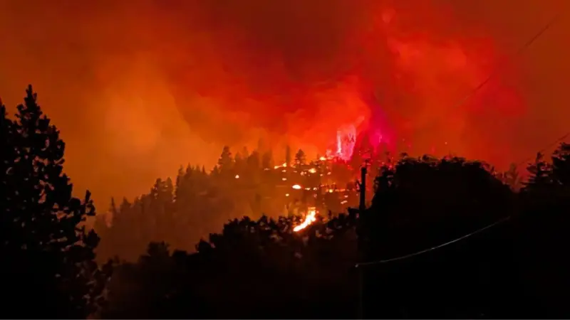 Muere mujer de 80 años al intentar huir de un incendio forestal en Canadá