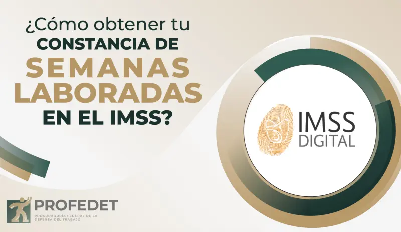 IMSS: así puedes consultar GRATIS tus semanas cotizadas en minutos; estos son los requisitos