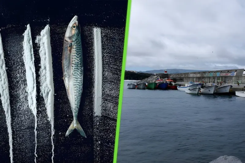 En 2001 un yate se refugió en una isla remota del Atlántico. Días después sus habitantes empanizaban pescado con coca