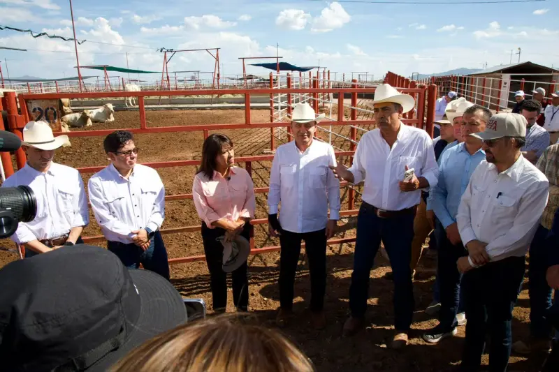 Ante primer envío de ganado por Agua Prieta, Alfonso Durazo anuncia sanidad reforzada y Sader mantendrá trazabilidad desde el nacimiento para sostener exportaciones a EEUU