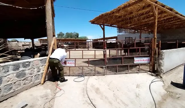 Clausura Profepa predio ilegal con fauna silvestre y exótica en Francisco I. Madero, Coahuila