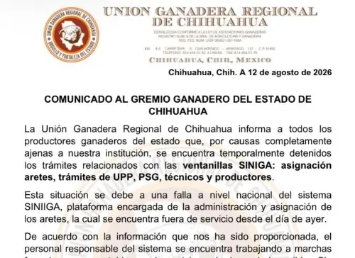 Reportan falla en entrega de aretes y trámites ganaderos en Chihuahua