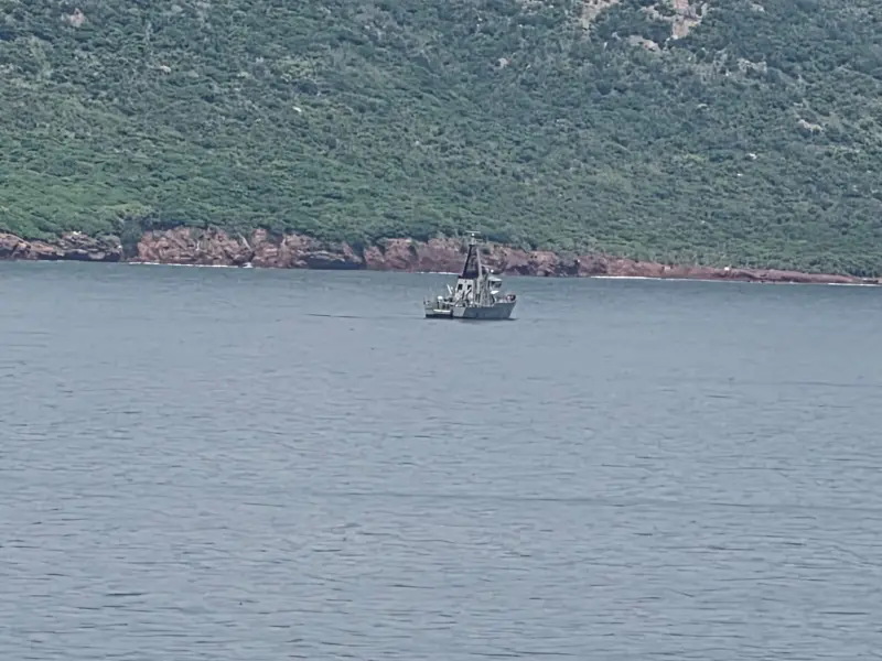 Vigila Marina a Mazatlán con más de mil elementos, embarcaciones y helicópteros: Alcaldesa