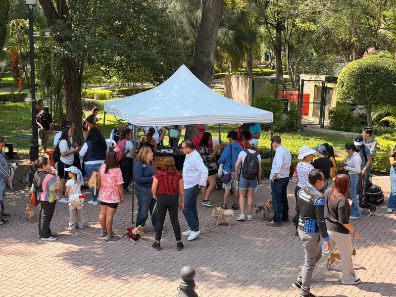 Acerca Municipio de Querétaro servicios de bienestar animal al Centro Histórico