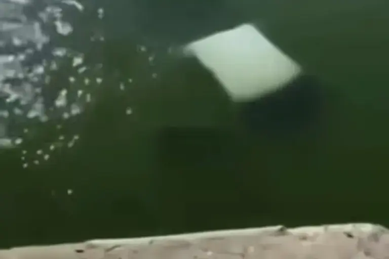 Accidente en muelle de Tamaulipas deja cuatro elementos de Marina muertos