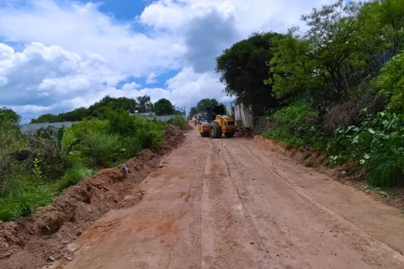 Rehabilitan 350 kilómetros de caminos de saca en San Juan del Río