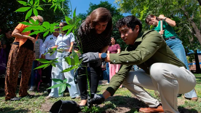 Reintegra UAQ vegetación en sus campus con más de 500 árboles nativos