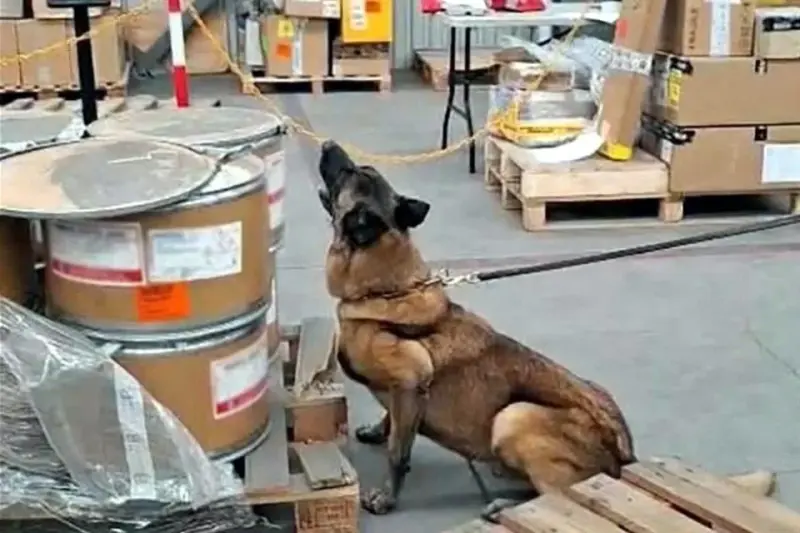 Hallan 245 kilos de metanfetamina en AICM
