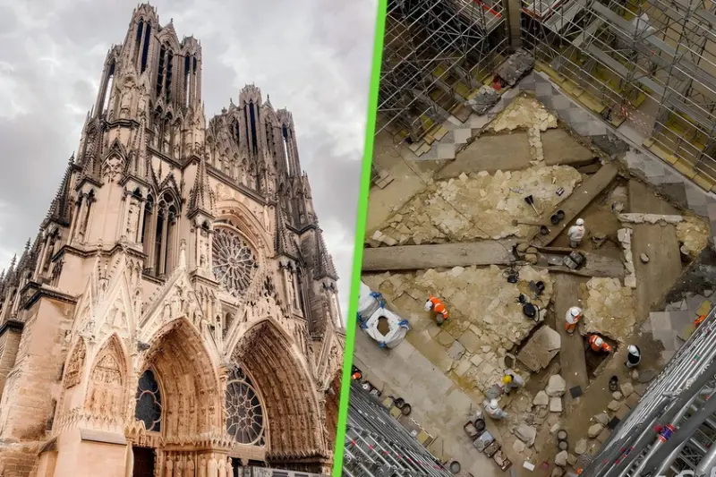 Después del incendio de Notre Dame, París solo quería reconstruirla y darle sombra con árboles: la tierra le devolvió Lutecia