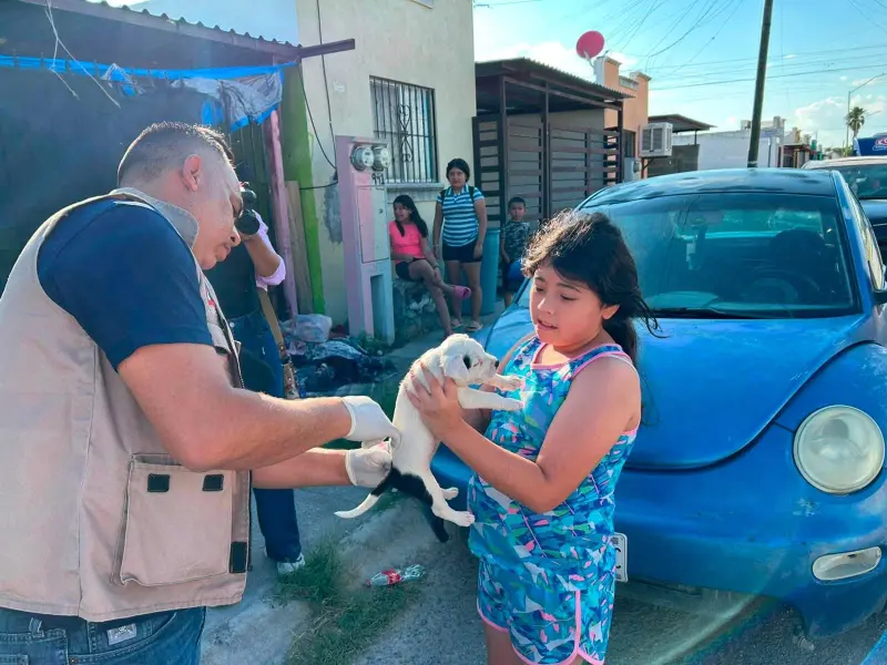 Vacunan a cerca de 100 mascotas durante brigada sanitaria en la Sabinas, Coahuila