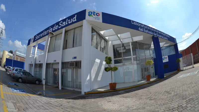 Ex empleados sufren calvario por denunciar acoso en Salud Guanajuato; llevan caso a la CIDH