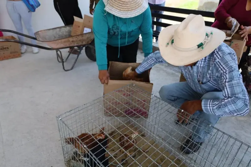 Crédito Gallinero a la Palabra llega a Pedro Escobedo