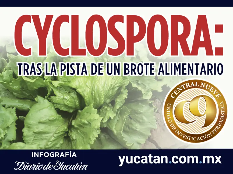 Ciclospora: Tras la pista de un brote alimentario