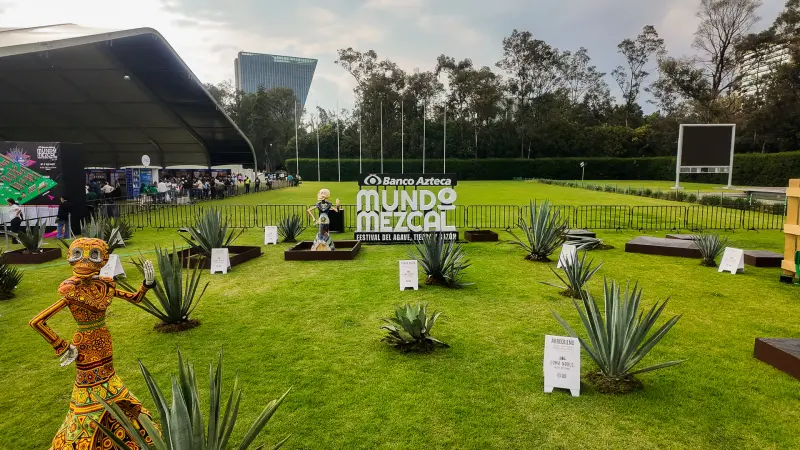 Mundo Mezcal apuesta por abrir el mercado a los nuevos productores de destilados de agave