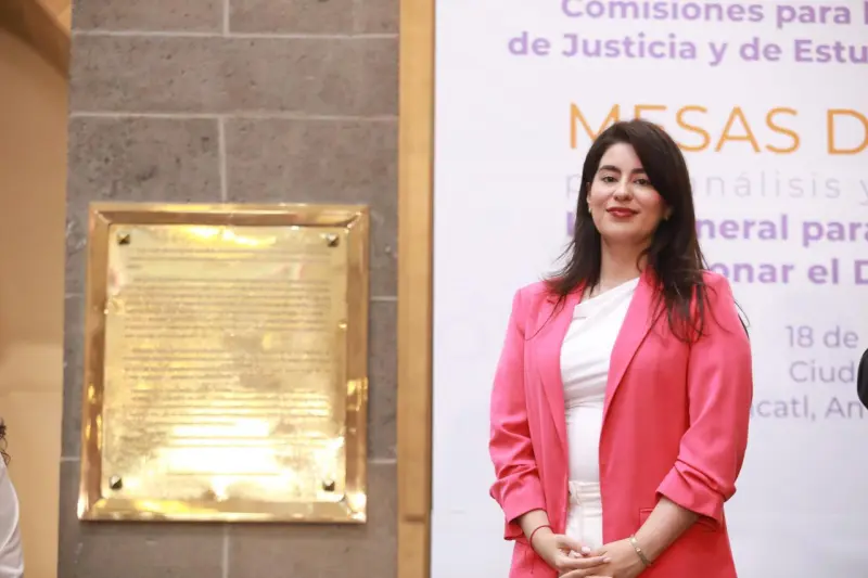 No basta con aumentar penas para combatir el feminicidio: Ana Chiquete