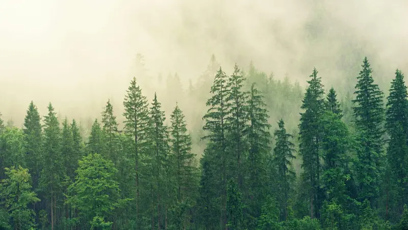 La naturaleza también es infraestructura