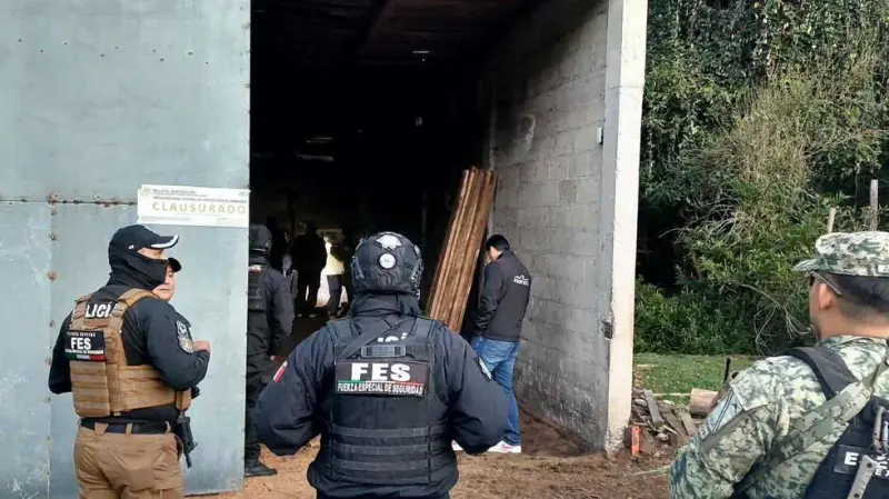 Aseguran centro clandestino de madera en Ocuilan con 99 rollos de pino