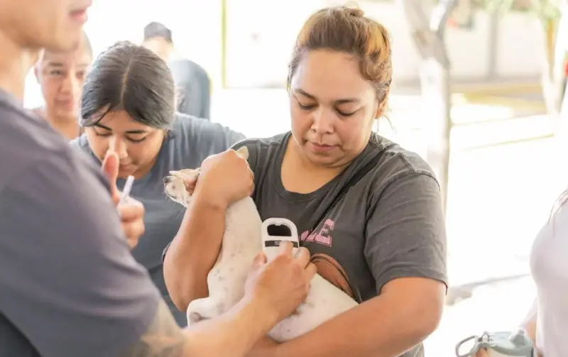 Llevarán esterilizaciones gratis a Riberas del Bravo