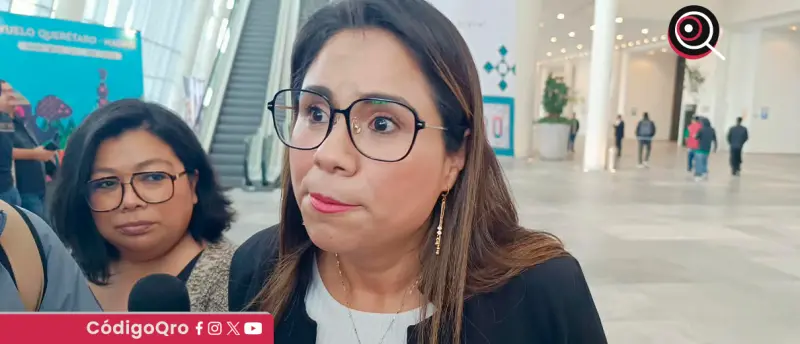 IEEQ no puede imponer filtros antinarcocandidatos, afirma presidenta