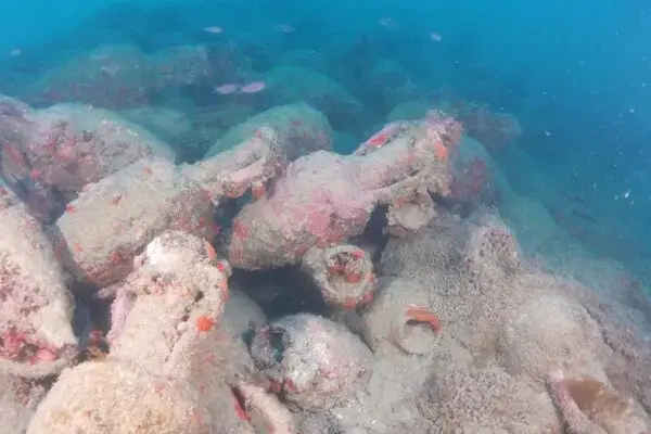 Un buceador italiano descubre un "tesoro en el fondo del mar" en Sicilia.