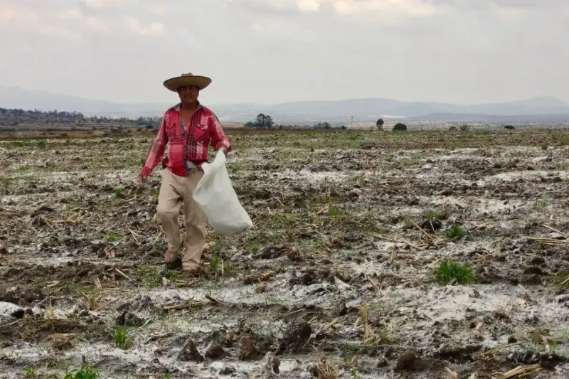 Sequía en presa causa preocupación para cosecha de productores de San Juan del Río