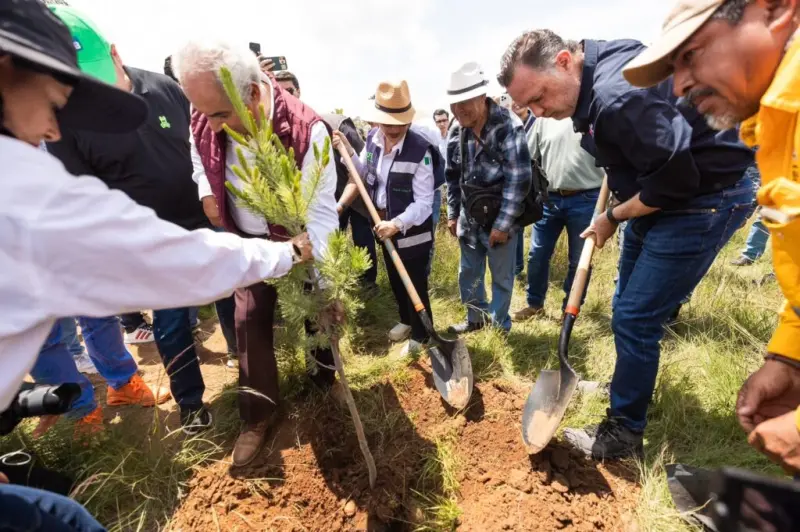 Participa Querétaro en la Jornada Nacional de Reforestación que busca restaurar los ecosistemas