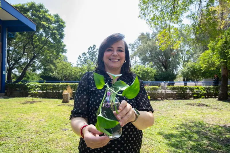UAQ refuerza sus áreas verdes con 580 árboles de especies nativas