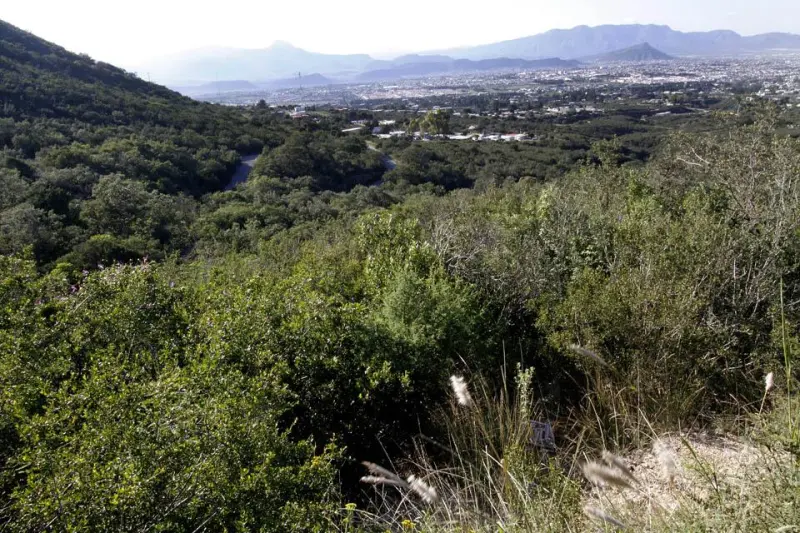Conservación ambiental: ¿por qué es tan difícil?
