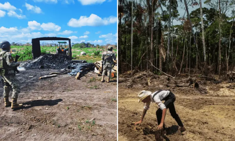 Menonitas en Campeche producen carbón ilegal; profepa suspende actividades y asegura madera
