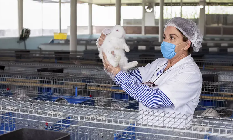Veterinarios cuidan con pasión y profesionalismo el patrimonio pecuario