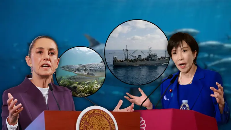 Japón y México alcanzan un acuerdo para aumentar la pesca de atún rojo del Pacífico, una decisión que permitirá elevar las cuotas desde 2027 mientras los países mantienen restricciones para proteger una especie afectada por la sobrepesca