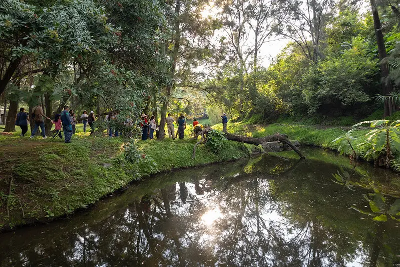 Celebra Zapopan segundo aniversario de Bosques con Aroma de Café