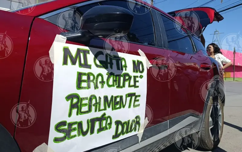 Marchan para exigir justicia por casos de maltrato animal