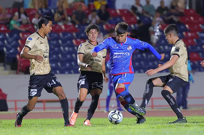 Cimarrones de Sonora se ausentarán de las canchas por un año